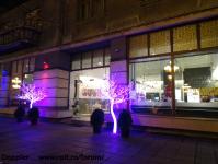 Imagine atasata: Iluminat Craciun - 2013.12.03 - 32.jpg